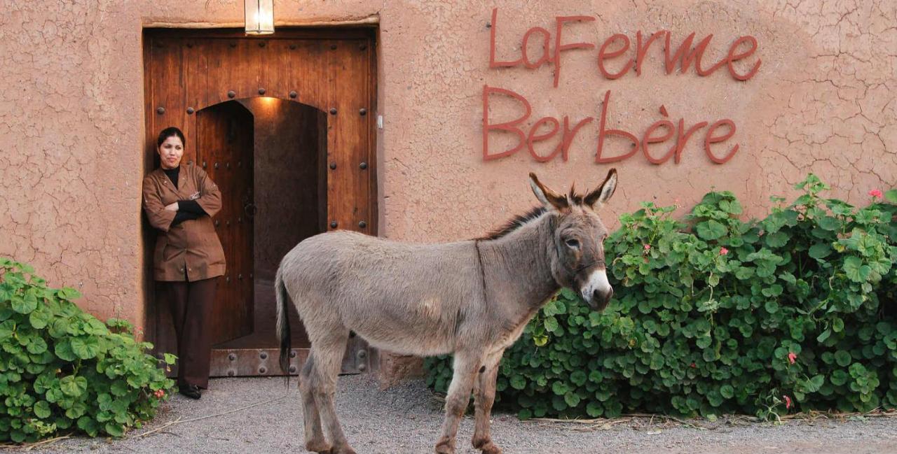 La Ferme Berbere Adult Only Bed & Breakfast El Harkat Exterior photo