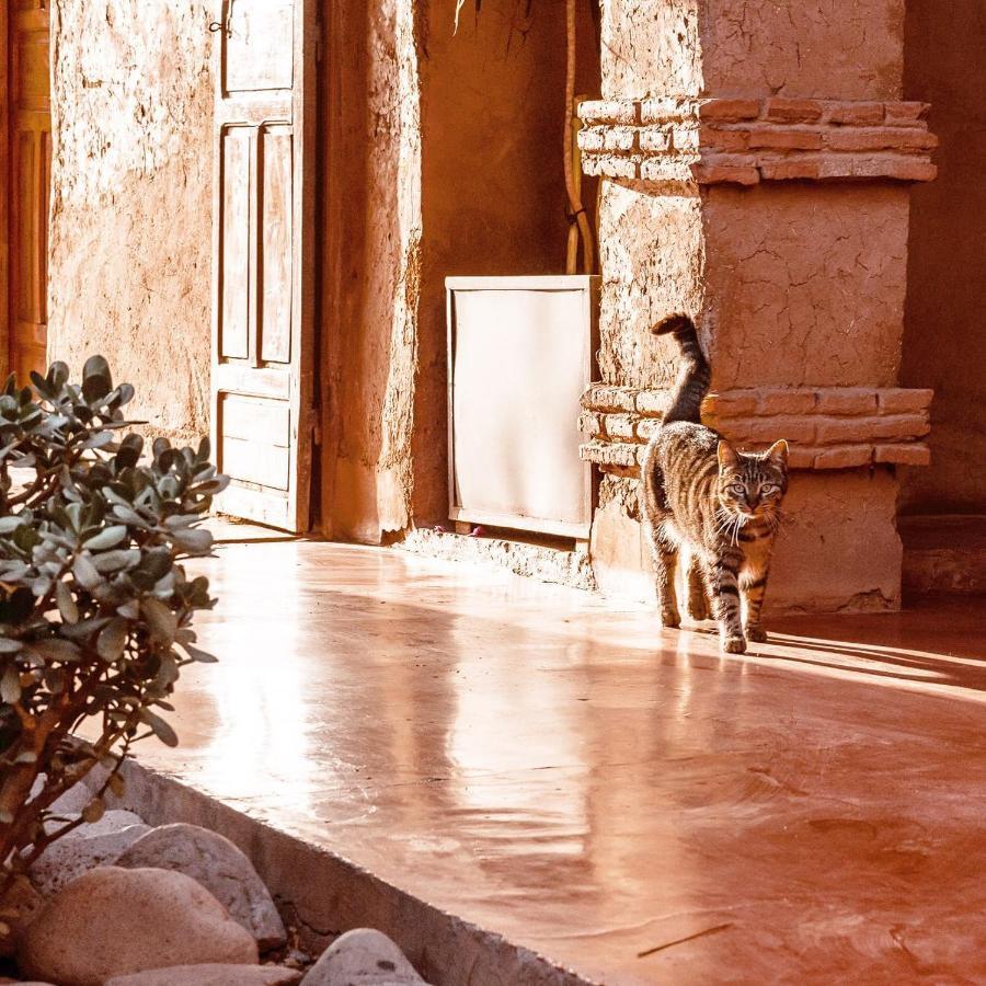 La Ferme Berbere Adult Only Bed & Breakfast El Harkat Exterior photo