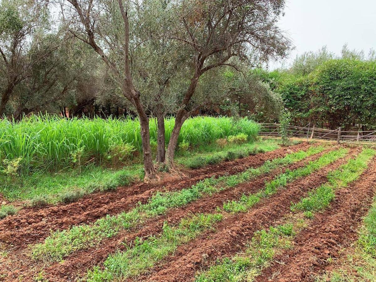 La Ferme Berbere Adult Only Bed & Breakfast El Harkat Exterior photo