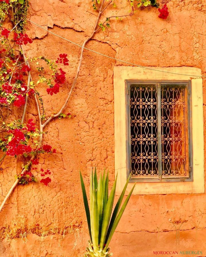 La Ferme Berbere Adult Only Bed & Breakfast El Harkat Exterior photo